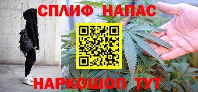 шишки Камышлов