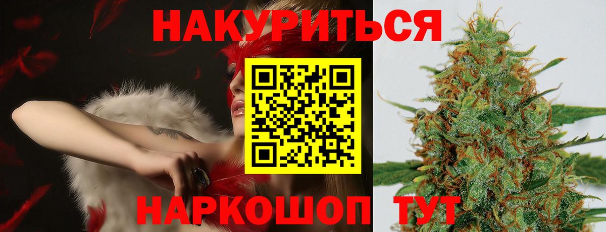 Конопля OG Kush Тимашёвск